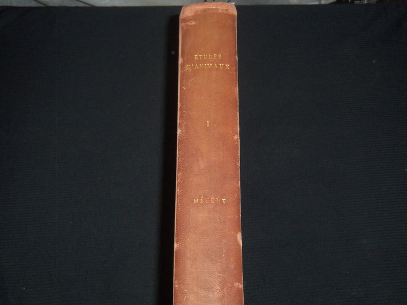 1911 ETUDES D'ANIMAUX FRENCH VOLUME BY M. MEHEUT - 50 ANIMAL PLATES - Z 277
