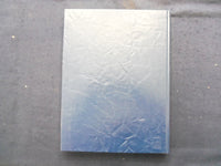 1995 WARBLER EASTERN ILLINOIS STATE COLLEGE YEARBOOK - CHARLESTON, IL - YB 3316