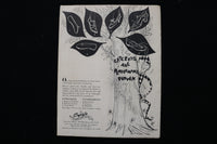 1951 JACOB'S PILLOW DANCE FESTIVAL PROGRAM - K 2261