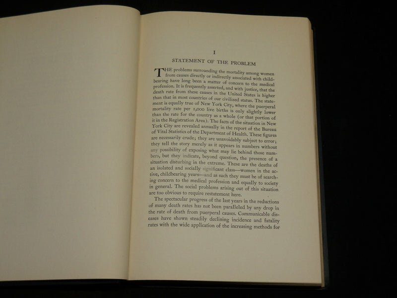 1933 MATERNAL MORTALITY IN NEW YORK CITY BOOK - PUERPERAL DEATHS - KD 2769H