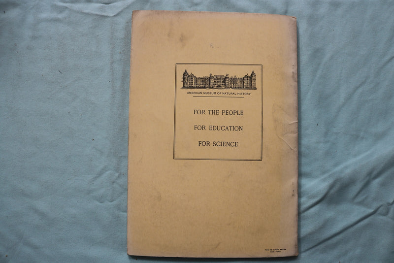 1917 NOVEMBER THE AMERICAN MUSEUM JOURNAL - PENGUINS - SOFTCOVER BOOK - K 3270