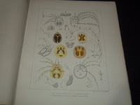 1877-1903 KONGLIGA SVENSKA SWEDISH VETENSKAPSAKADEMIENS VOLUMES LOT OF 8