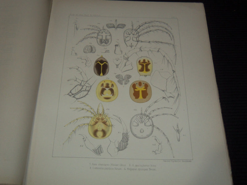 1877-1903 KONGLIGA SVENSKA SWEDISH VETENSKAPSAKADEMIENS VOLUMES LOT OF 8
