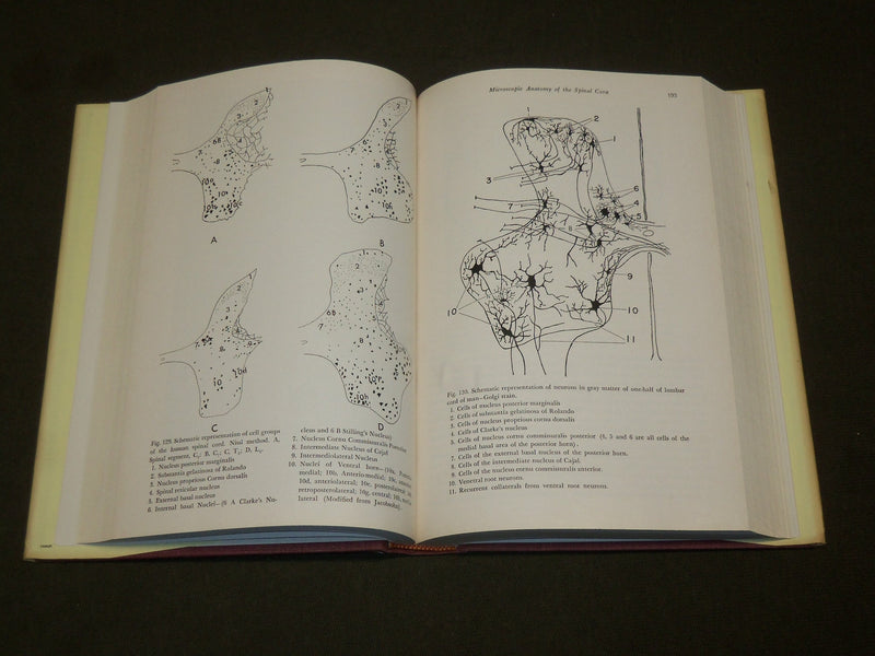 1960 THE SPINAL CORD BOOK HARDCOVER BY GEORGE AUSTIN - KD 6283