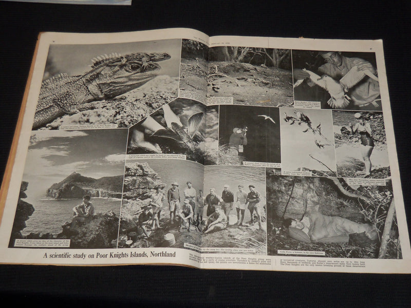 1956 THE WEEKLY NEWS AUCKLAND NEW ZEALAND NEWSPAPER LOT OF 3 ISSUES - NP 1346