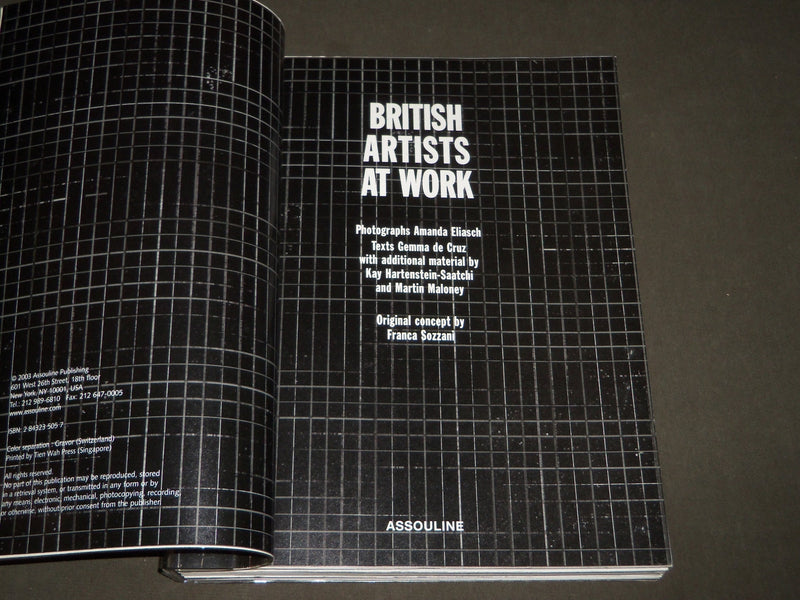 2003 BRITISH ARTISTS AT WORK BOOK BY GEMMA DE CRUZ - AMANDA ELIASCH - D 172