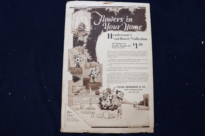 1924 FEB 10 NY TRIBUNE GARDEN GRAPHIC SECTION- PEARL WHITE-ELSIE JANIS - NP 8757