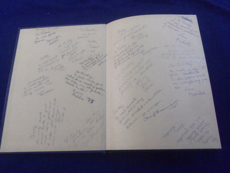 1968 LEAVES OF WOODVIEW WOODVIEW JUNIOR H.S. YEARBOOK -INDIANAPOLIS, IN- YB 2669