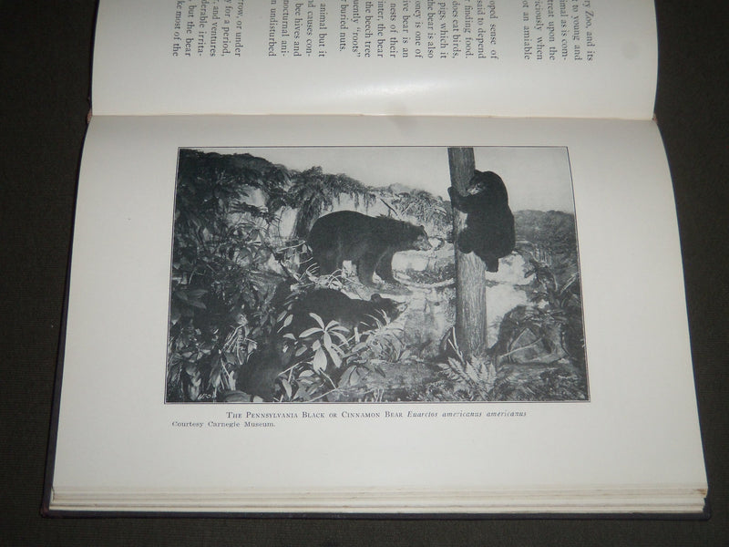 1928 THE MAMMALS OF PENNSYLVANIA BY SAMUEL HOWARD WILLIAMS BOOK - KD 4129