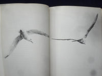 1970 JONATHAN LIVINGSTON SEAGULL HARDCOVER BOOK BY RICHARD BACH - KD 9025