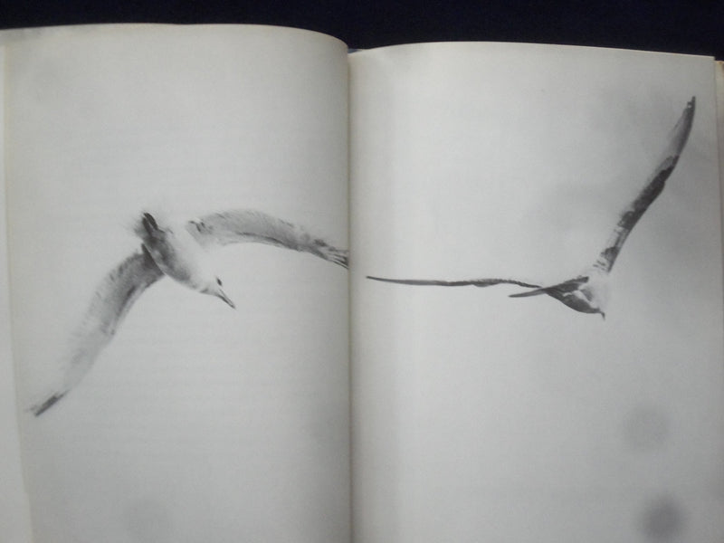 1970 JONATHAN LIVINGSTON SEAGULL HARDCOVER BOOK BY RICHARD BACH - KD 9025