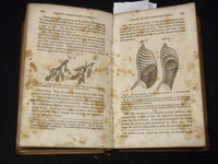1853 A TREATISE OF ANATOMY BOOK BY CALVIN CUTTER, M. D - NICE ILLUS. - J 8118
