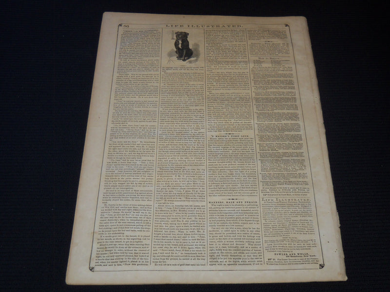 1857 JUNE 13 LIFE ILLUSTRATED NEWSPAPER - HISTORY OF COMETS - NP 5933