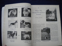 1934 MARCH 1 THE AMERICAN KENNEL GAZETTE MAGAZINE- WU FOO OF KINGSWERE- SP 3625M