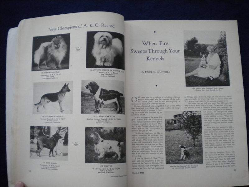 1934 MARCH 1 THE AMERICAN KENNEL GAZETTE MAGAZINE- WU FOO OF KINGSWERE- SP 3625M