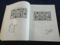 1917 THE ANNUAL ROCKFORD HIGH SCHOOL YEARBOOK - ROCKFORD, ILLINOIS - YB 2595