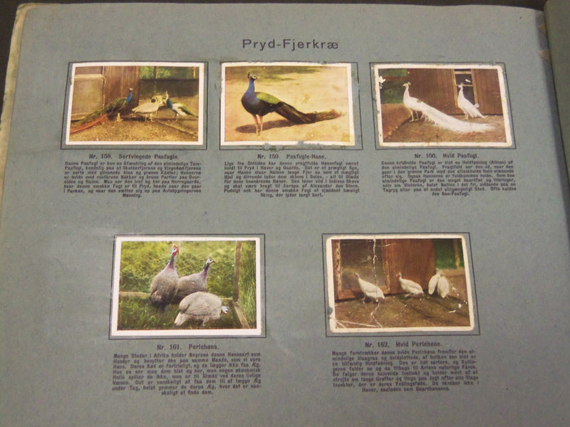 1930'S RICH'S SERIE DANSKE HUSDYR ANIMAL TOBACCO CARDS ALBUM - DANISH - KD 3183