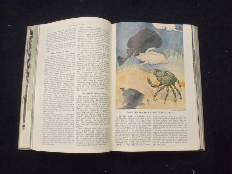 1952 THE BOOK OF FISHES HARDCOVER BOOK EDITED BY JOHN LA GORCE - KD 8279