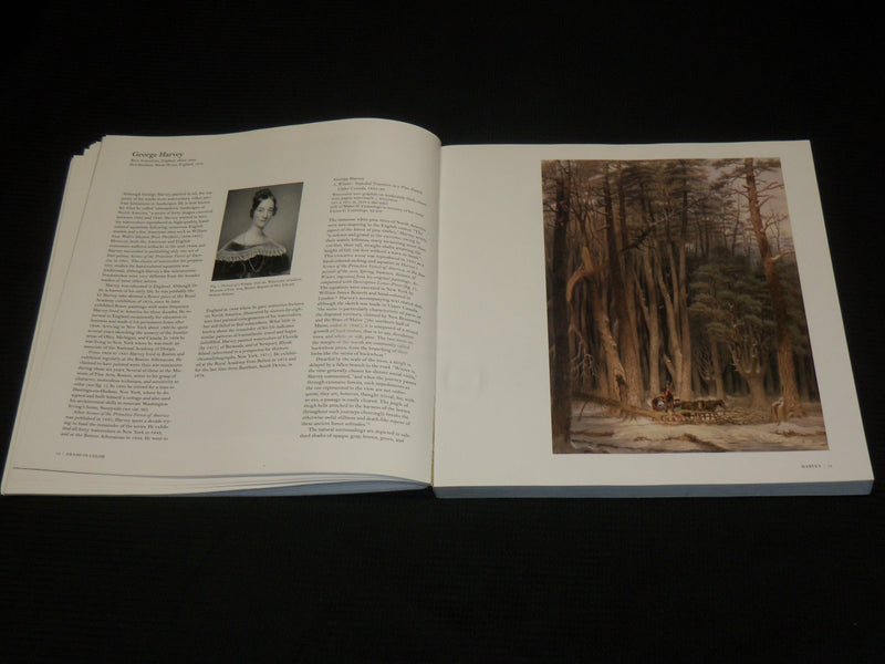1993 AWASH IN COLOR SOFTCOVER BOOK - HOMER, SARGENT AMERICAN WATERCOLOR - R 723F