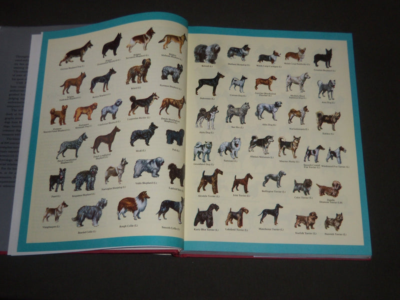 1973 THE ENCYCLOPEDIA OF DOGS EDITED BY PAOLO LECALDANO BOOK - KD 4099