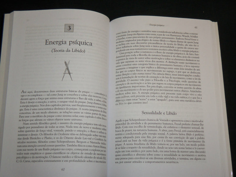 2006 JUNG O MAPA DA ALMA HARDCOVER BOOK BY MURRAY STEIN - PORTUGUESE - KD 6954