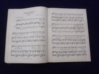 1931 FORTY SONGS JOHANNES BRAHMS SOFTCOVER BOOK EDITED BY JAMES HUNEKER- KD 8491