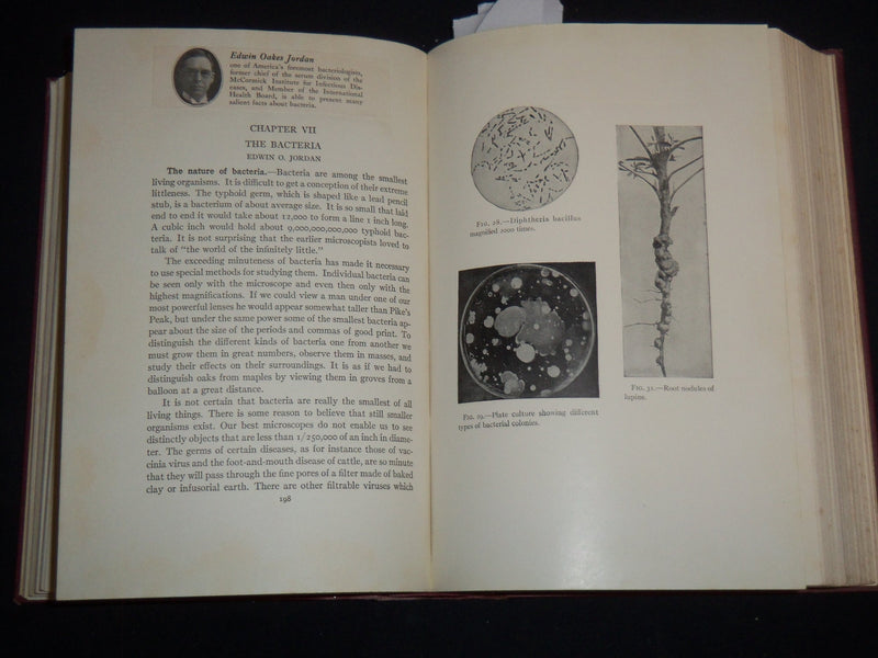 1926 THE NATURE OF THE WORLD AND OF MAN - UNIVERSITY OF CHICAGO - KD 5980D