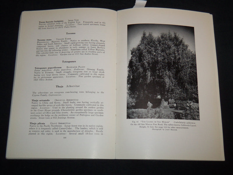 1940 TREES OF SANTA BARBARA DESCRIBED AND LOCATED BOOK BY RENSSELAER - J 8747