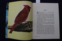 1950'S BIRDS & INSECT PARADE SOFTCOVER BOOKS BY BERTHA PARKER - LOT OF 2- K 1376