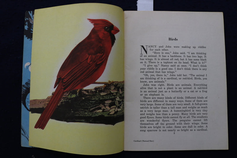 1950'S BIRDS & INSECT PARADE SOFTCOVER BOOKS BY BERTHA PARKER - LOT OF 2- K 1376