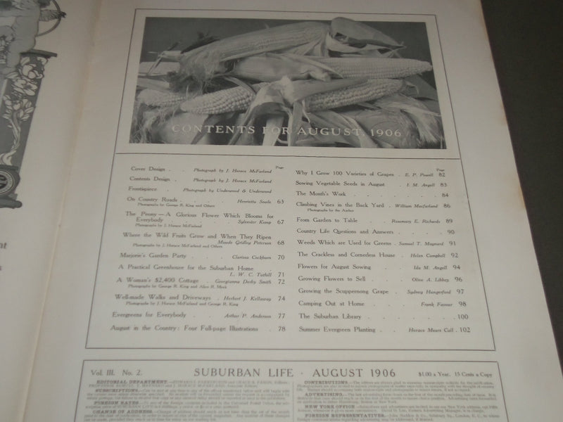 1906 AUGUST SUBURBAN LIFE THE COUNTRYSIDE MAGAZINE - GREAT COVER & ADS - SP 9515
