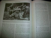 1930 WONDERS OF ANIMAL LIFE BOUND VOLUME LOT OF 4 - PHOTOS & PLATES - KD 3076