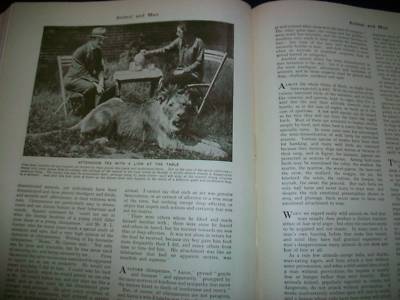 1930 WONDERS OF ANIMAL LIFE BOUND VOLUME LOT OF 4 - PHOTOS & PLATES - KD 3076