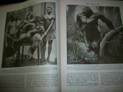 1930 WONDERS OF ANIMAL LIFE BOUND VOLUME LOT OF 4 - PHOTOS & PLATES - KD 3076