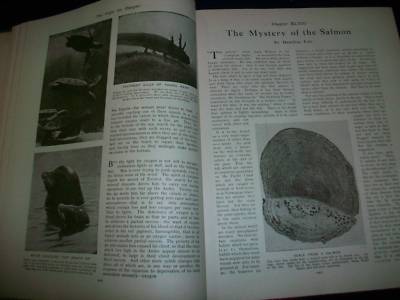 1930 WONDERS OF ANIMAL LIFE BOUND VOLUME LOT OF 4 - PHOTOS & PLATES - KD 3076