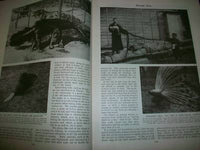 1930 WONDERS OF ANIMAL LIFE BOUND VOLUME LOT OF 4 - PHOTOS & PLATES - KD 3076