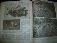 1930 WONDERS OF ANIMAL LIFE BOUND VOLUME LOT OF 4 - PHOTOS & PLATES - KD 3076