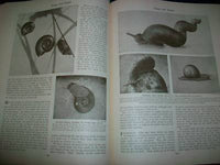 1930 WONDERS OF ANIMAL LIFE BOUND VOLUME LOT OF 4 - PHOTOS & PLATES - KD 3076