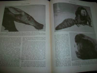 1930 WONDERS OF ANIMAL LIFE BOUND VOLUME LOT OF 4 - PHOTOS & PLATES - KD 3076