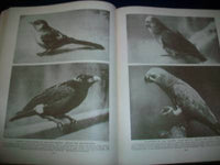 1930 WONDERS OF ANIMAL LIFE BOUND VOLUME LOT OF 4 - PHOTOS & PLATES - KD 3076
