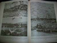 1930 WONDERS OF ANIMAL LIFE BOUND VOLUME LOT OF 4 - PHOTOS & PLATES - KD 3076