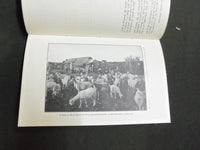 1913 28TH ANNUAL REPORT OF THE BUREAU OF ANIMAL INDUSTRY BOOK - KD 1775B