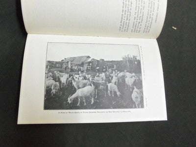 1913 28TH ANNUAL REPORT OF THE BUREAU OF ANIMAL INDUSTRY BOOK - KD 1775B