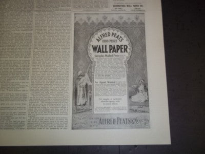 1899 FEBRUARY THE LADIES' WORLD MAGAZINE - GREAT PHOTOS AND ADS - SP 3040