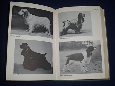 1964 THE COMPLETE DOG BOOK NEW REVISED EDITIION - KENNEL CLUB - PHOTOS - KD 926R