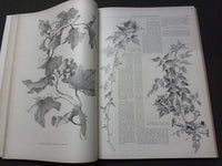 1896-1897 ART AMATEUR MAGAZINE BOUND VOLUME - GREAT ILLUSTRATIONS - KD 3047