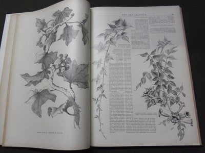 1896-1897 ART AMATEUR MAGAZINE BOUND VOLUME - GREAT ILLUSTRATIONS - KD 3047