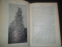 1906 PRAKTISCH HANDBOEK VOOR TUINLIEFHEBBERS BOOK - DUTCH - HARDCOVER - KD 727X