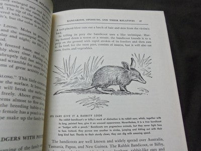 1954 THE ANIMAL KINGDOM BOOK LOT OF 3 - COMPLETE SET - ED. DRIMMER - KD 3754