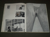 1966 THE EMERGENT DECADE LATIN AMERICAN PAINTING PROFILE BOOK - PHOTOS - KD 1096